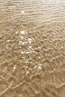 Water ripples sunlight reflection sandbank