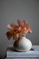 Still life peony on pile of magazines