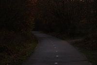 Der Weg ins Nirgendwo