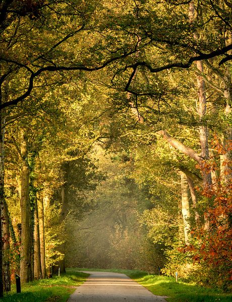 Het begin van de herfst van Jacky Keeris