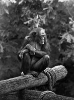 Ich werde weiter beobachten....