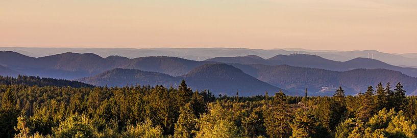 Panorama Nationalpark Schwarzwald beim Schliffkopf von Werner Dieterich