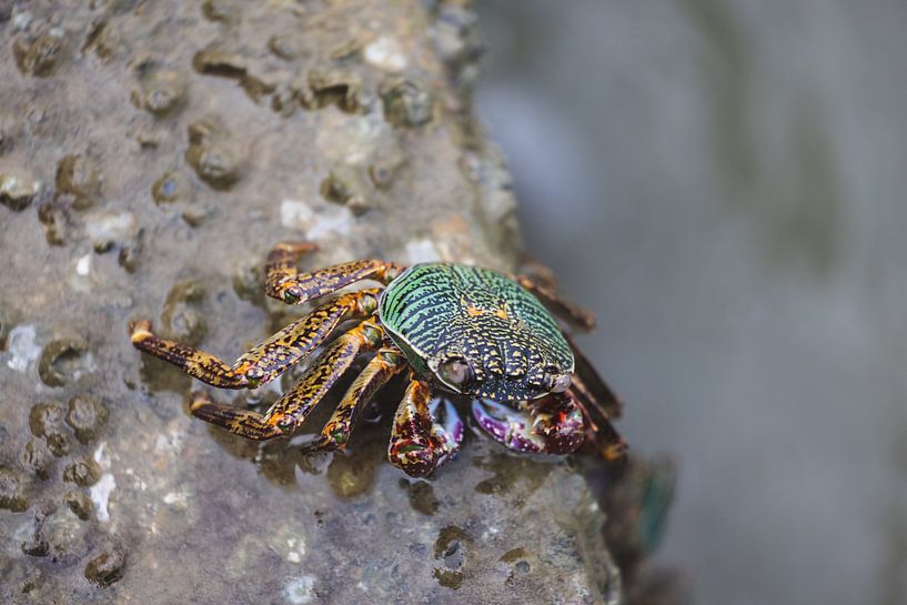 Old Town Koh Lanta: A Leap Back in Time by Ken Tempelers