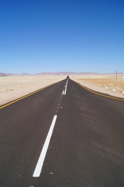 Weg naar het einde van de wereld by Erna Haarsma-Hoogterp