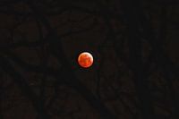 The Superblood Wolfmoon in the Netherlands