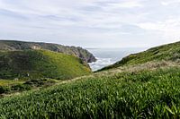 Cabo da Roca