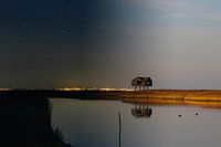 Cheesecake day and night