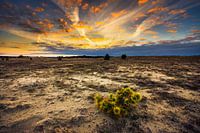 Coucher de soleil à Koowijkerzand