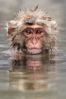 Détente dans la source thermale