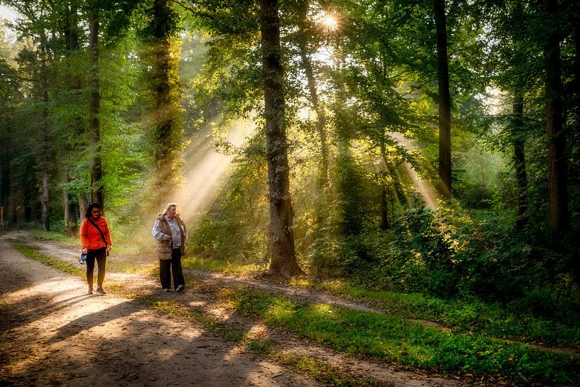 Breda Liesbos in the fog by Egon Zitter