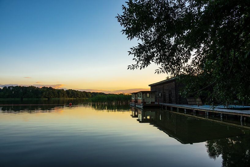 Landschaft am Kleinen Pälitzsee bei Pälitzhof von Rico Ködder