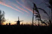 Drei Mühlen Driemanspolder