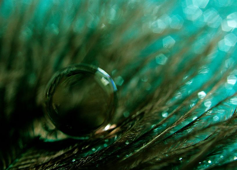 Eine grüne Traumwelt von Kvinne Fotografie