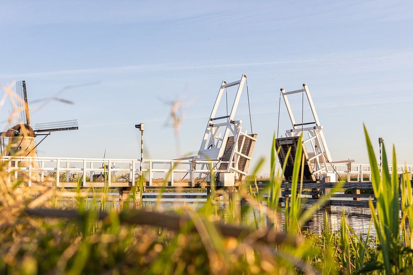 Bridge between the mills by Maarten Borsje