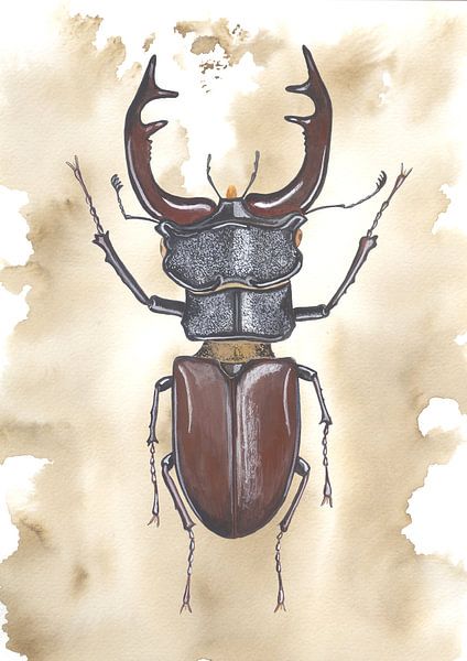 Flying deer, male by Jasper de Ruiter