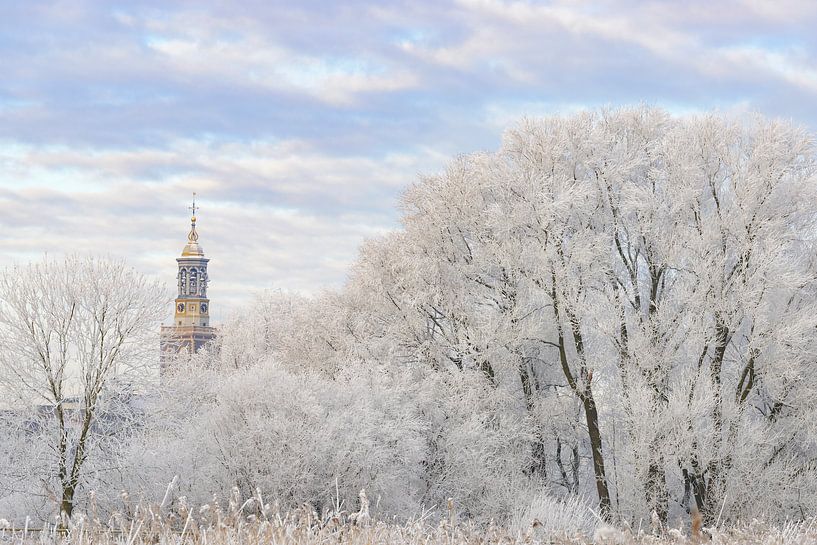 Arbres figés avec le Nieuwe Toren (nouvelle tour) dans Kampen par Sjoerd van der Wal Photographie