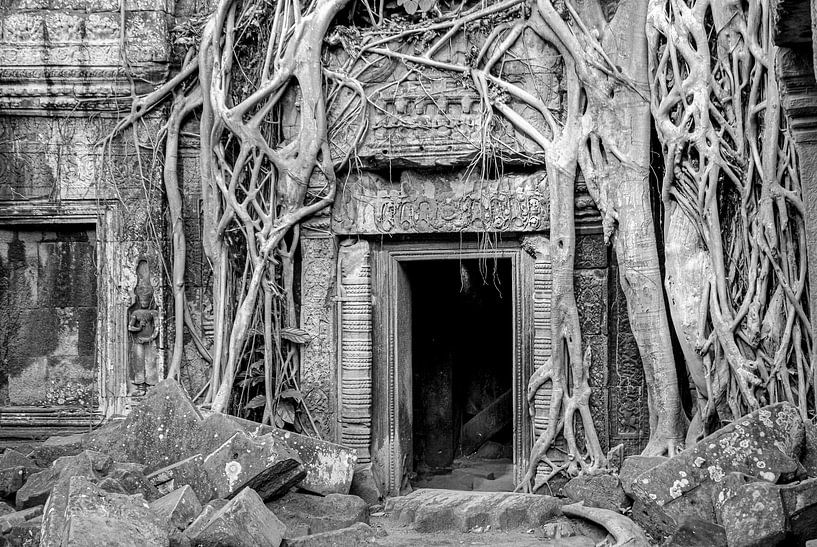 Ruinen des Tempels Ta Prohm, Tempelanlage von Angkor Wat in Kambodscha von Jan Fritz
