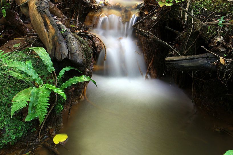Kleiner Wasserfall von Cornelis (Cees) Cornelissen