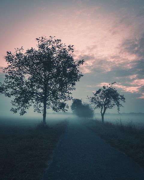 Morning fog in the Münsterland by Steffen Peters