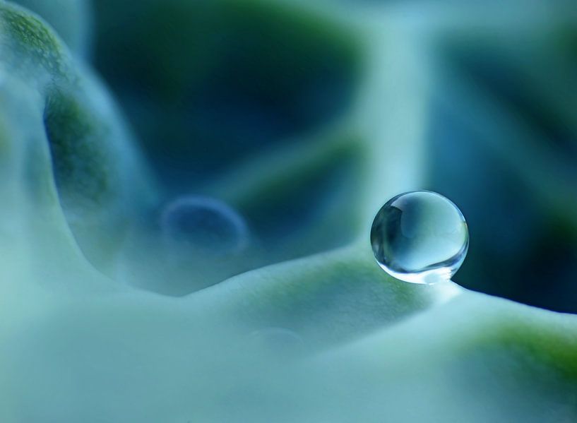 Du bist derjenige... (Sturz in Benzin) von Caroline Lichthart