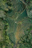Photo de haut en bas prise par un drone des rizières de Tegallalang à Bali