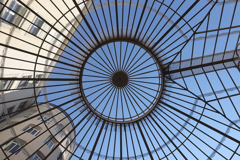 La surprise genevoise par Nina Rotim