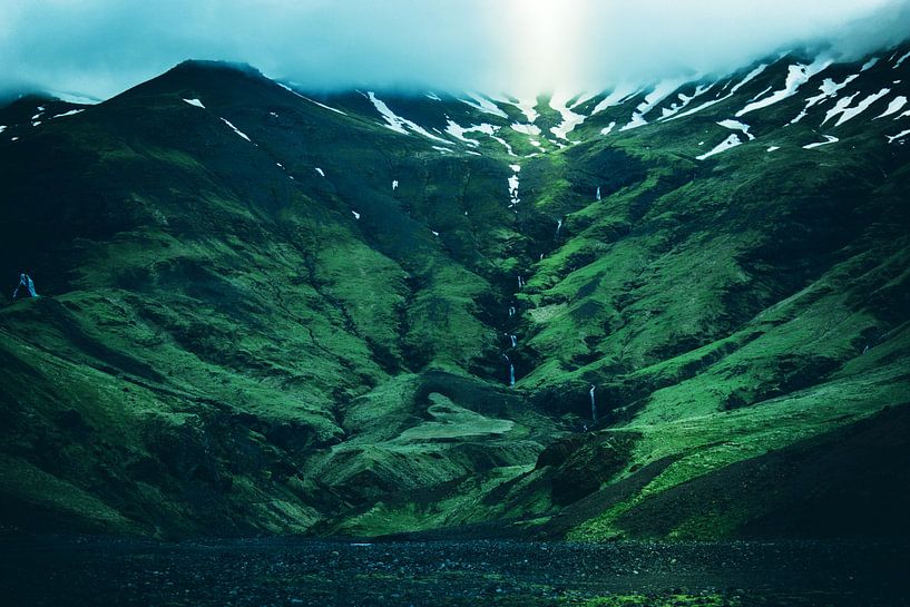 Green Forest by Walljar