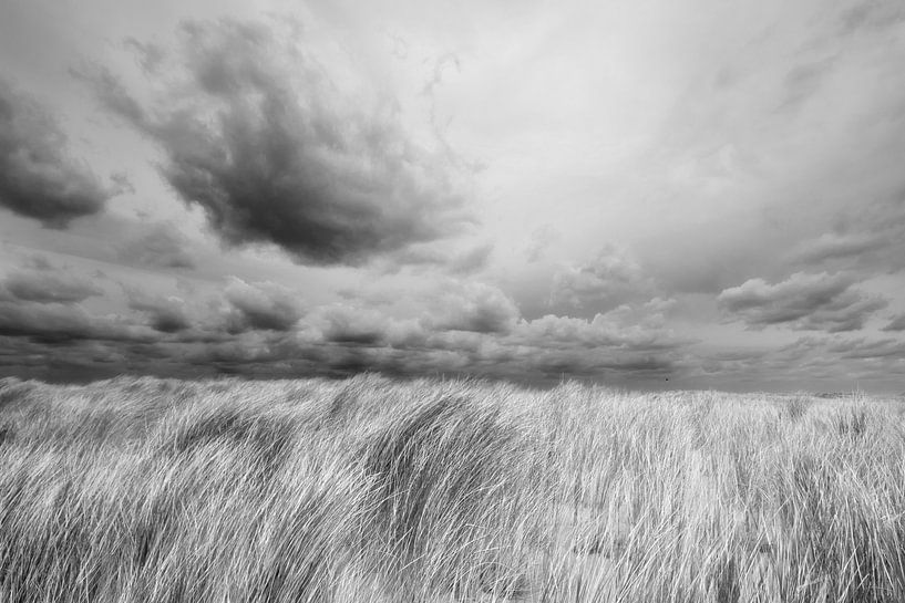Düne bei Petten (N-H) von Peter Baak
