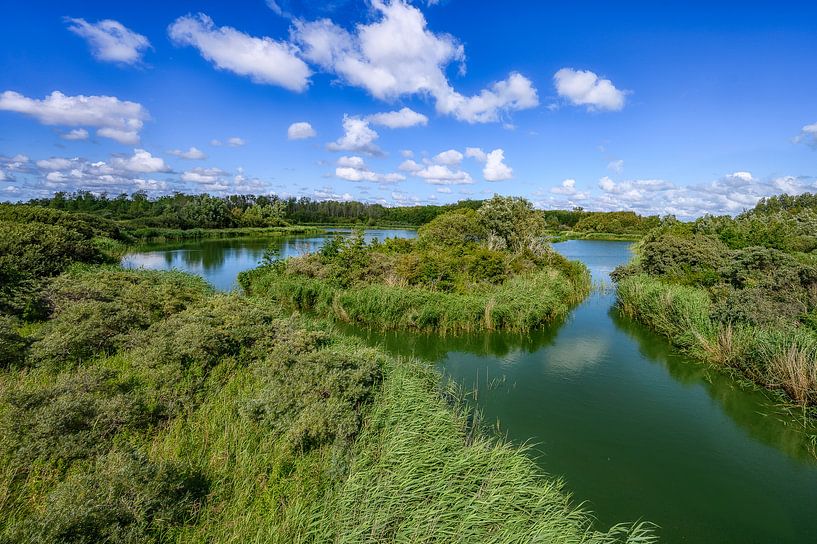 Lauwersmeer by Adriaan Westra