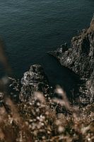 Vue imprenable sur la mer de Norvège