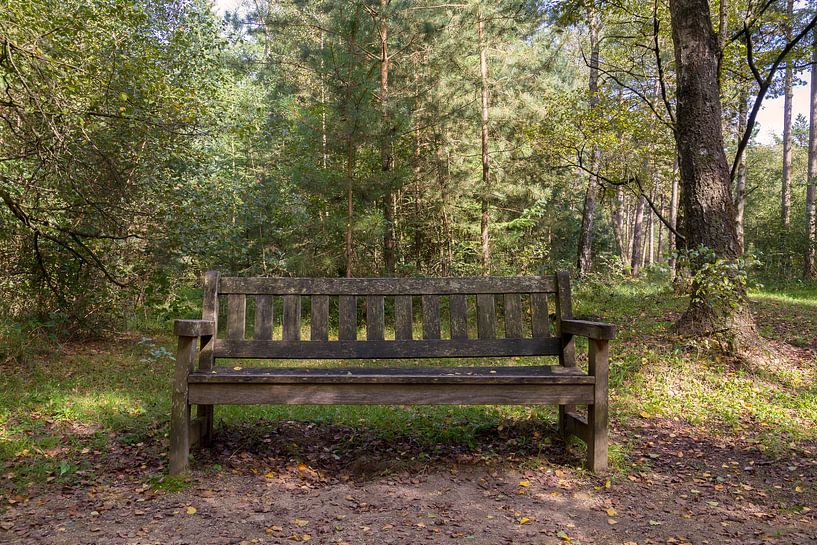 Take a seat - Nature photo of a bench in the forest by QEIMOY
