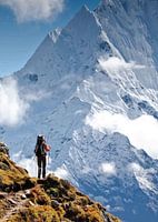 À la conquête des hauteurs