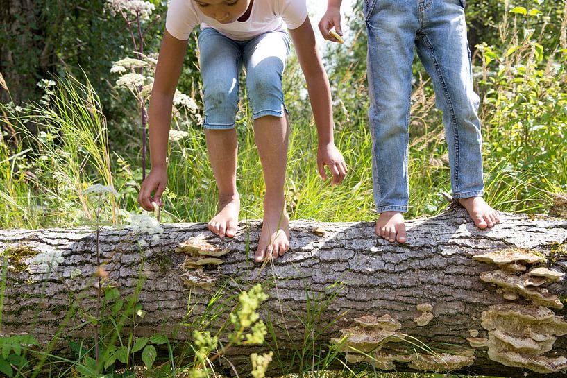 Kinder in der Natur von Janine Bekker Photography