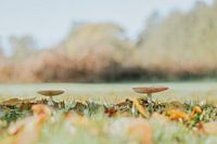 Sunny autumn day in October