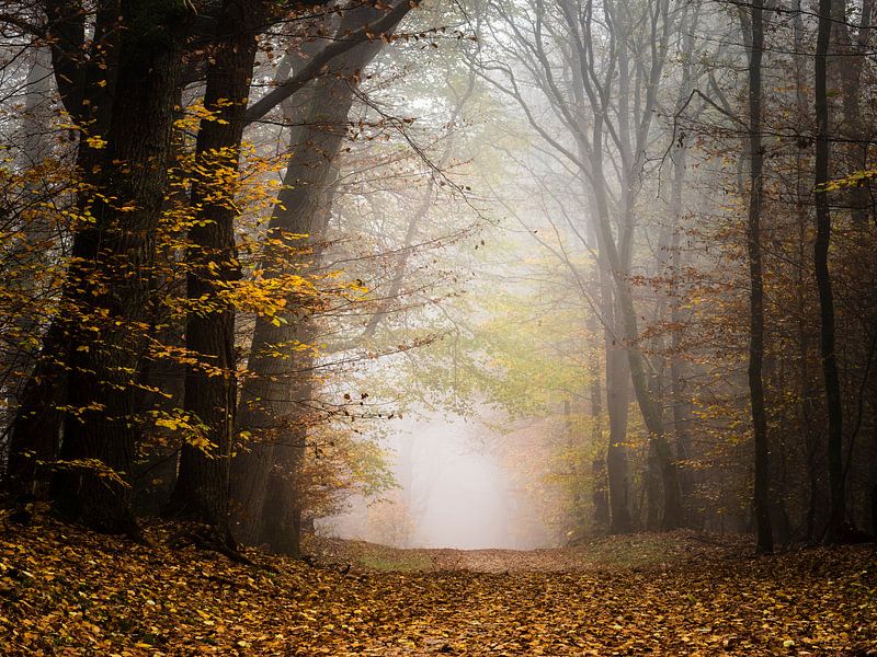 Aventure d'automne par Tvurk Photography
