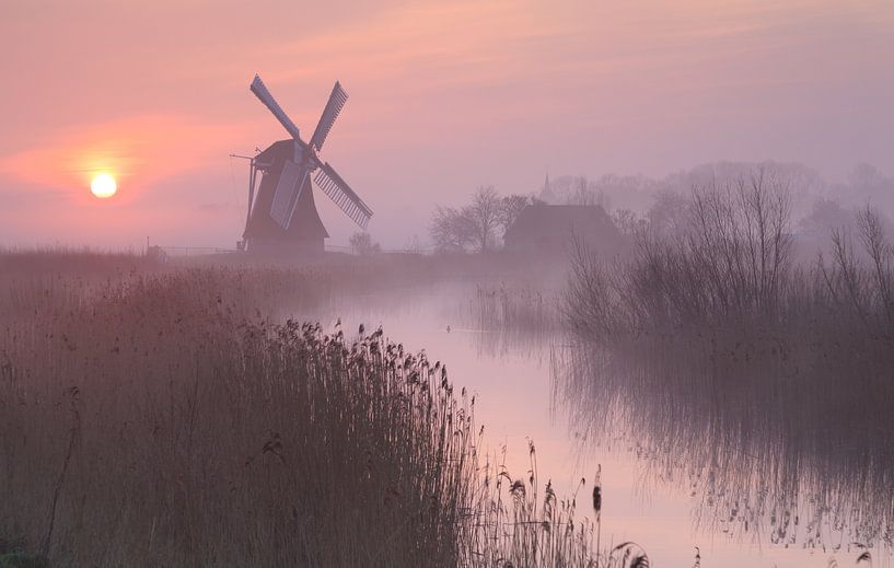 Aube pourpre par Sander van der Werf