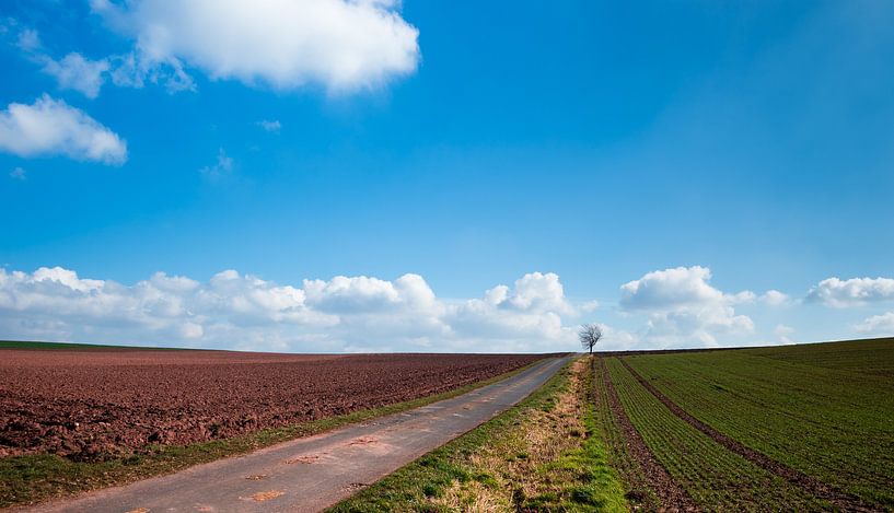 Hergarten 1 von Deshamer