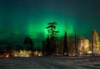 Finnish Northern Lights