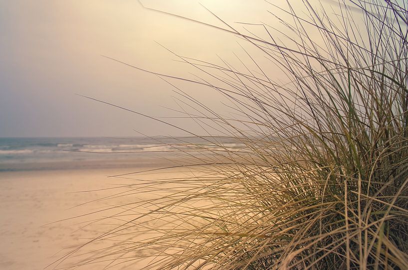 Paysage côtier avec de l'herbe de dune au premier plan et des vagues à l'arrière-plan. par Martin Köbsch