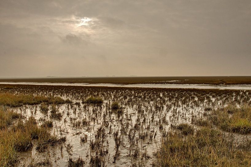 Kwelder - Noord-Friesland Buitendijks by Meindert van Dijk