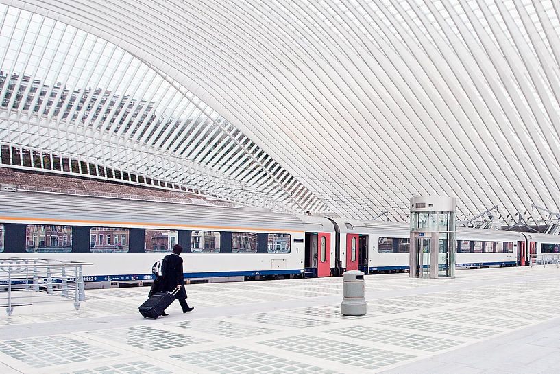 Mr. Klasse und Qualität von Bart van der Worp