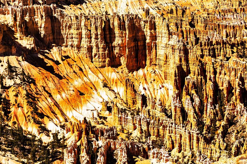 Amfitheater rotsnaalden in het grote erosielandschap Bryce Canyon National Park in Utah USA van Dieter Walther