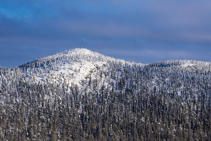 Paysage avec de la neige en hiver à Ruka, Finlande par Rico Ködder