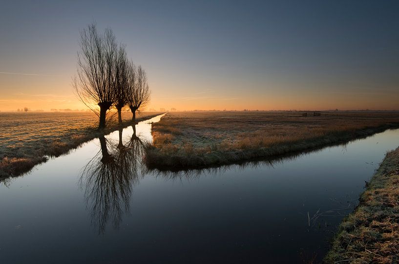 Drie op een Rij von Raoul Baart