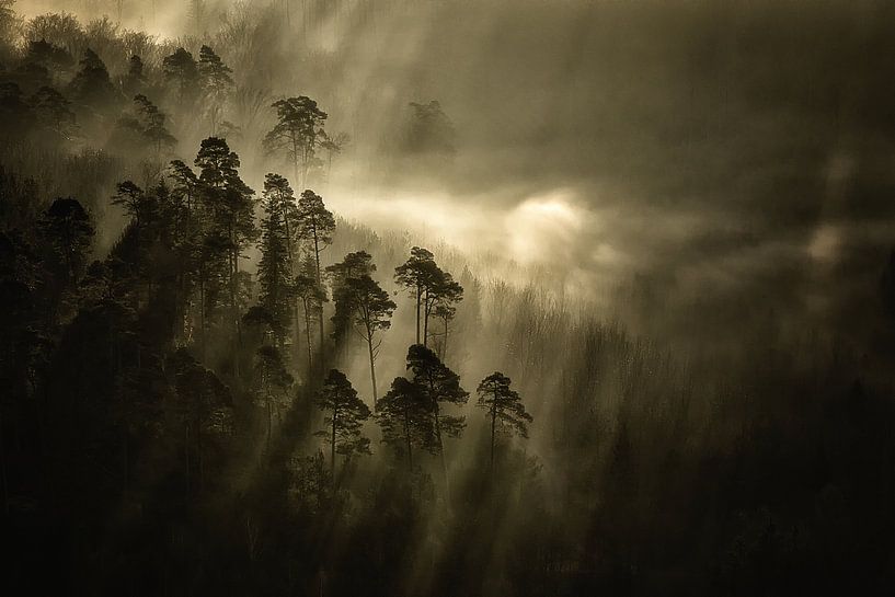 Streiflichter von Peter Wagner