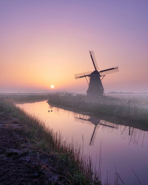 Lever de soleil au moulin de Hempenserpolder par un matin brumeux par Thea.Photo