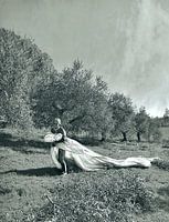 HOCHZEIT OLIVENHAIN BRAUTSCHLEIER