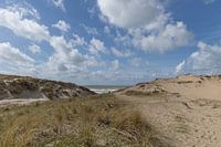 Langevelderslag: it seems like a foreign country