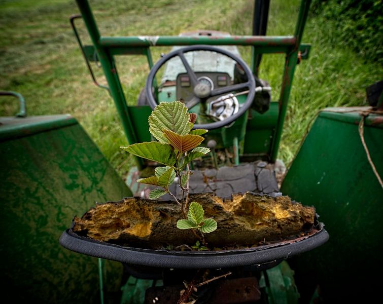 Baum im Traktorsattel von Theo Felten