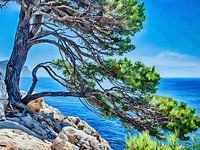 Mediterranean Coastline